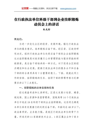 朱光彤：在行政执法单位科级干部到企业挂职锻炼动员会上的讲话