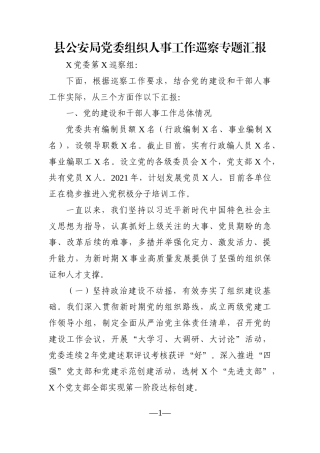 政法：县公安局党委组织人事工作巡察专题汇报