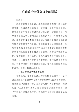 政府办：在市政府全体会议上的讲话