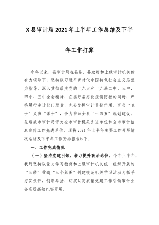 X县审计局2021年上半年工作总结及下半年工作打算