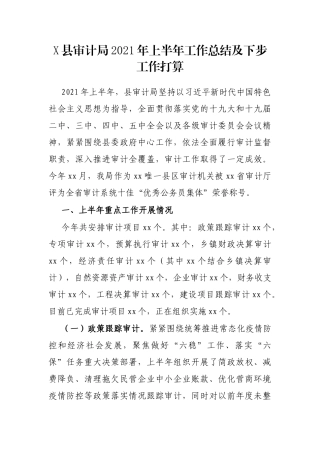 X县审计局2021年上半年工作总结及下步工作打算