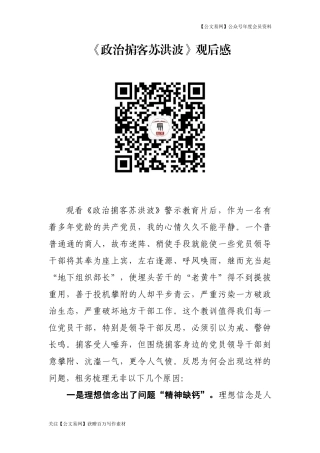 政治掮客苏洪波观后感