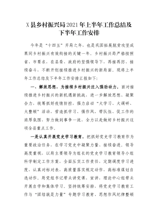 X县乡村振兴局2021年上半年工作总结及下半年工作安排