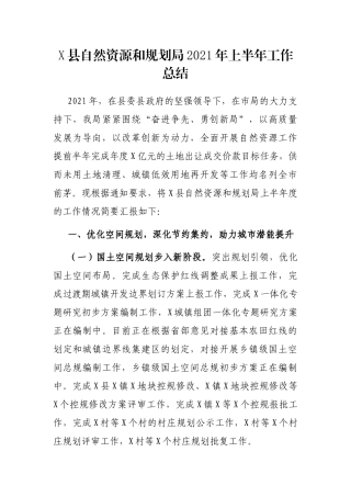 X县自然资源和规划局2021年上半年工作总结