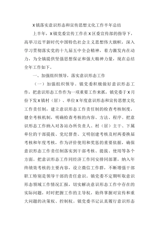 X镇落实意识形态和宣传思想文化工作半年总结