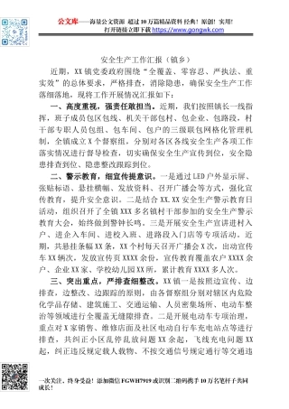 安全生产工作汇报（镇乡）