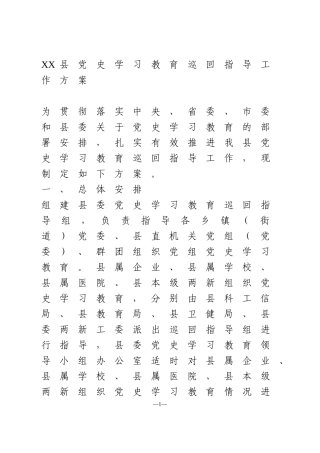 党史学习教育巡回指导工作方案