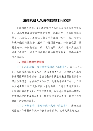 城管执法大队疫情防控工作总结