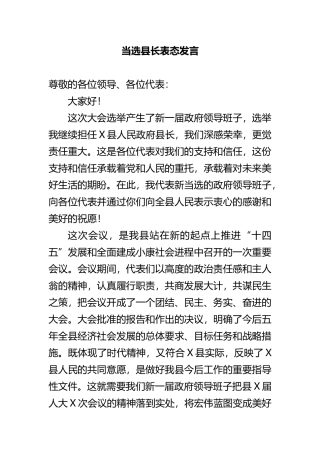 当选县长表态发言