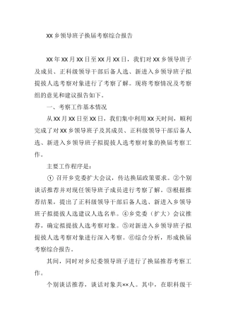 XX领导班子换届考察报告