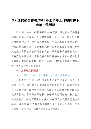 XX区供销合作社2021年上半年工作总结和下半年工作思路