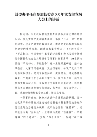 党办：县委办主任在参加县委办XX年党支部党员大会上的讲话