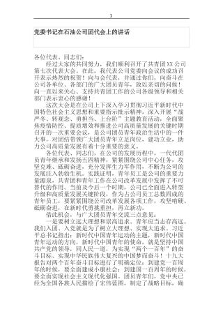 党委书记在石油公司团代会上的讲话 