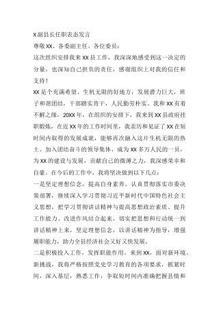X副县长任职表态发言