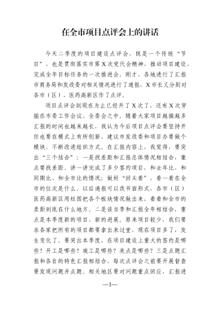 党办：在全市项目点评会上的讲话