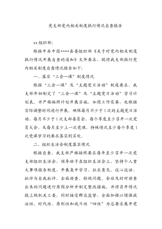 党支部党内相关制度执行情况自查报告