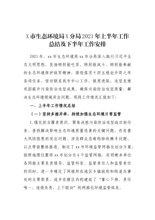 X市生态环境局X分局2021年上半年工作总结及下半年工作安排