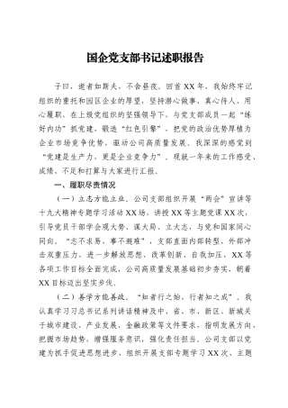 国企党支部书记述职报告