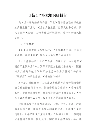 X县X产业发展调研报告