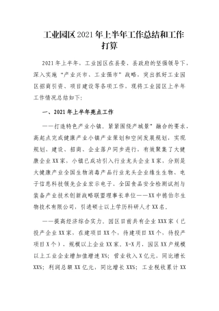 工业园区2021年上半年工作总结和工作打算