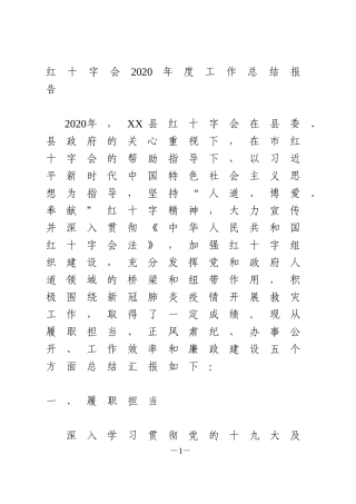 红十字会2020年度工作总结报告