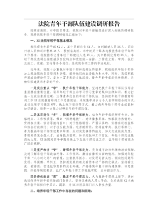 法院青年干部队伍建设调研报告