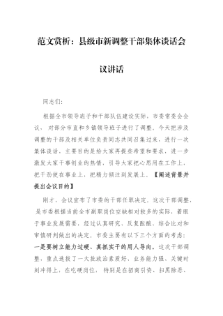 范文赏析：县级市新调整干部集体谈话会议讲话