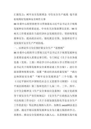 汇报发言：树牢安全发展理念 守住安全生产底线 毫不放松统筹好发展和安全两件大事