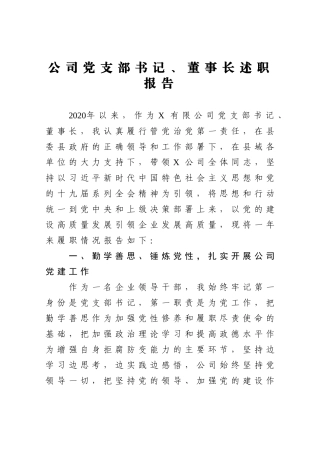 公司党支部书记、董事长述职报告
