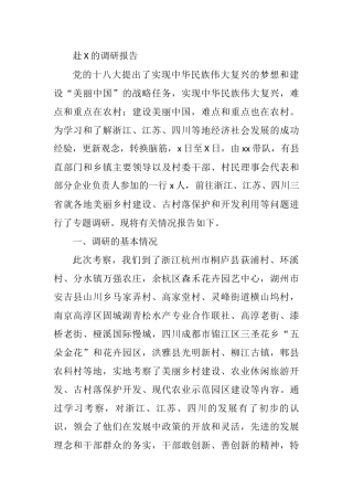 赴X的调研报告 乡村振兴