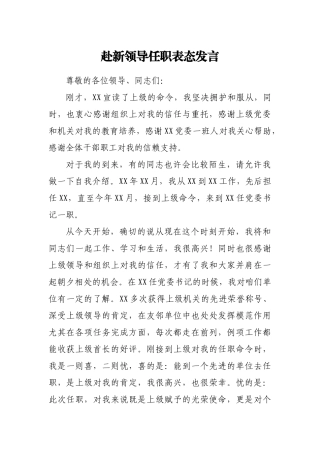 赴新领导任职表态发言