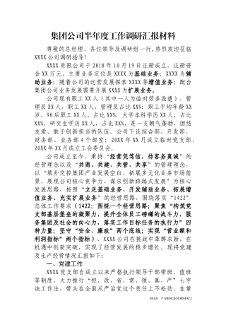 集团公司半年度工作调研汇报材料