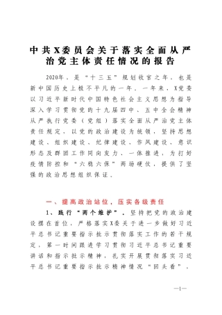 关于落实全面从严治党主体责任情况的报告