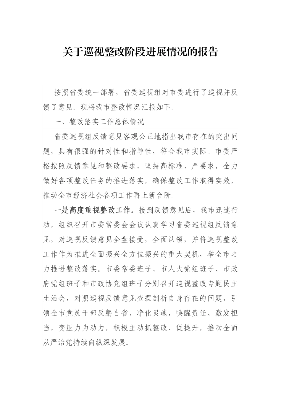 关于巡视整改阶段进展情况的报告_第1页