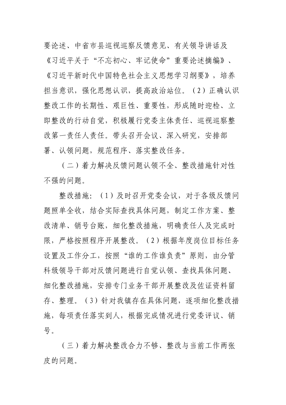 关于专项整治巡视巡察整改存在问题工作方案_第2页