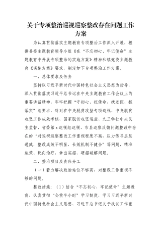 关于专项整治巡视巡察整改存在问题工作方案