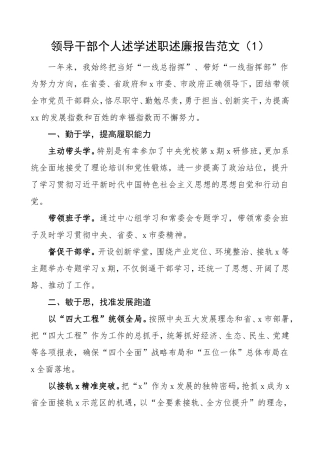 领导干部个人述学述职述廉报告2篇