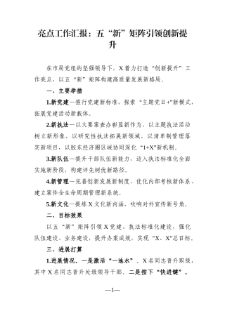 局机关：亮点工作汇报：五“新”矩阵引领创新提升