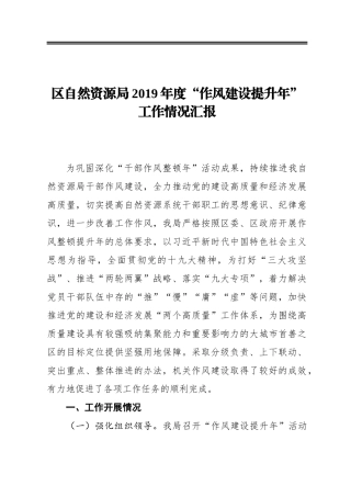 区自然资源局2019年度“作风建设提升年”工作情况汇报