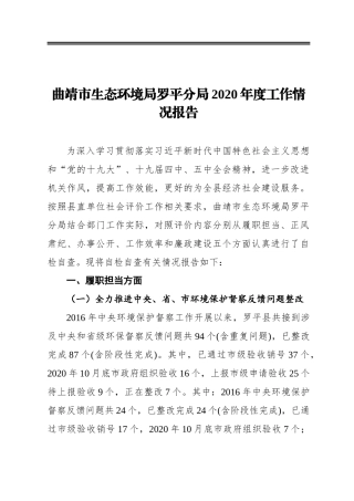 曲靖市生态环境局罗平分局2020年度工作情况报告