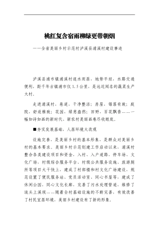 全省美丽乡村示范村XX村典型材料