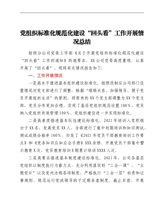 某公司党组织2021年标准化规范化建设“回头看”工作开展情况总结