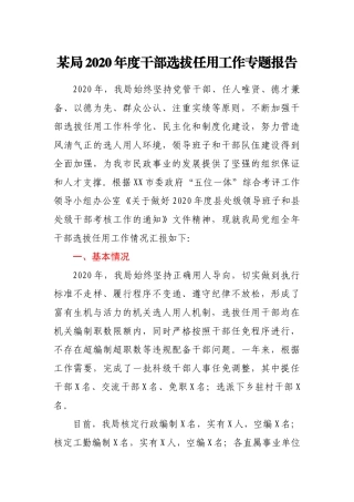 某局2020年干部选拔任用工作专题报告