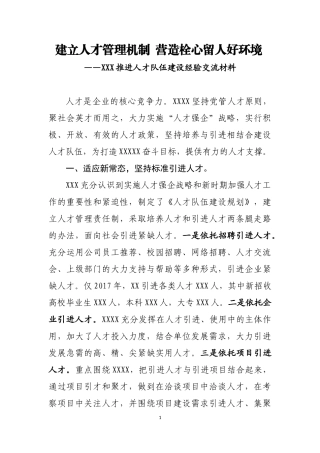 推进人才队伍建设经验交流材料