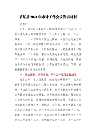 某某县2021年审计工作会议发言材料