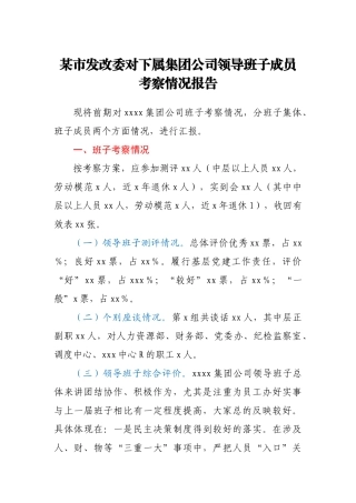 某市发改委对下属集团公司领导班子成员考察情况报告