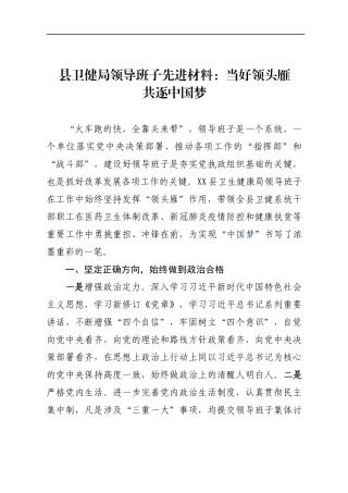 卫健委：县卫健局领导班子先进材料