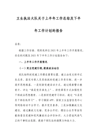 卫生执法大队关于上半年工作总结及下半年工作计划的报告