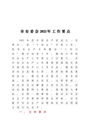 市安委会2021年工作要点