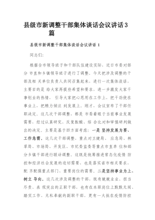 县级市新调整干部集体谈话会议讲话3篇